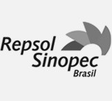 Repsol Sinopec Brasil